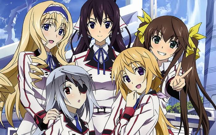 Infinite Stratos Waifus